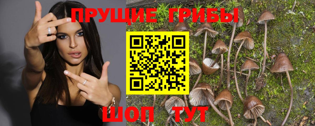Псилоцибиновые грибы мухоморы  Вход с VPN  Галлюциногенные грибы Cubensis  Кузнецк 