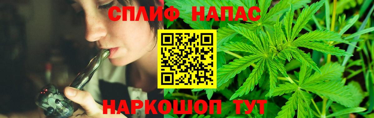 МАРИХУАНА гибрид Кузнецк